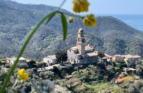 Jolie Maison - Foto 3