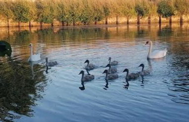 Le gîte embarqué - Géré par Presta-Zen'Services - Barque électrique en supplément - Foto 21