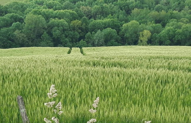 Modern Apartment in a Listed Villa With Beautiful View From Balcony - Foto 60