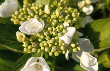 Spacieux Chalet en Bois Massif au coeur du Finistère - Foto 63