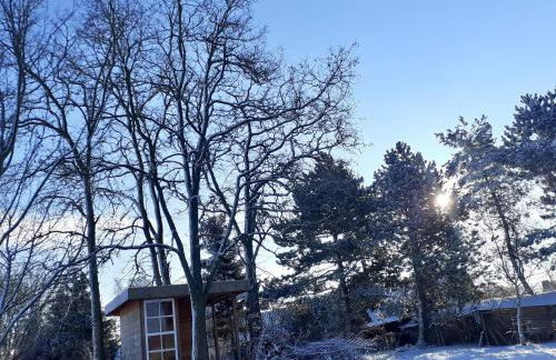 Haus 2 Linden - Foto 19