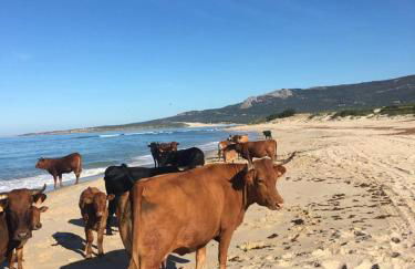 Apartamentos Bolonia - M a n u e l a - Foto 62