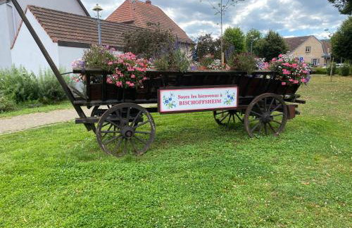 Gîte au Pied du Bischenberg - Foto 27