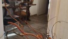 Meina, 2 camere, 2 bagni, giardinetto - Foto 4