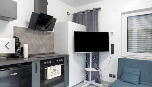 Biberschätzli - Foto 4