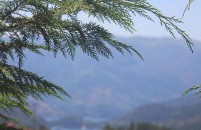 Gerês - Aldeia Turística de Louredo - Foto 77