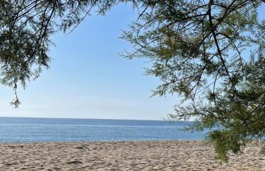 Palauma Plage - Foto 38