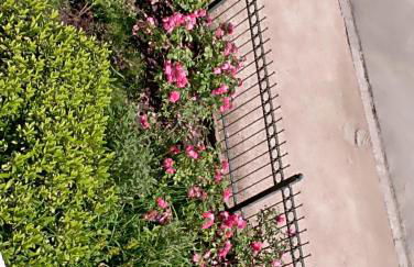 Peaceful Apartment-3 Zi, Loggia & Garden in Blankenese - Foto 18