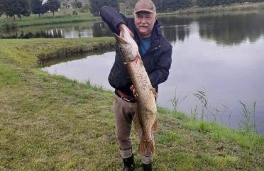 Mazurski Domek Papy Smerfa plaża pomost jezioro prywatny staw gospodarstwo pasieka - Foto 27