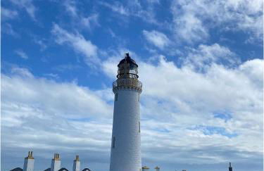 The Wee Sprout - Foto 9