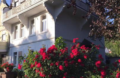 Villa Rheinblick - Foto 13