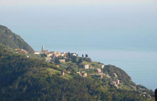 Quinto Canto Moneglia - Foto 22