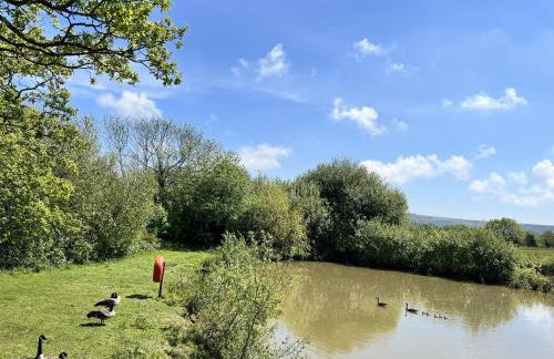 Foxes Heart - Foto 21