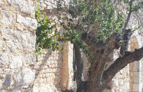 LA GARDE ADHEMAR, L'escalier Médiéval - Foto 44