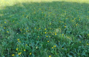 Casa Bartulo - Foto 38