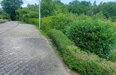 Apartment Nähe Limburg Diez - Foto 8