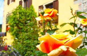 Villa "Corte de' Baldi" - Foto 38