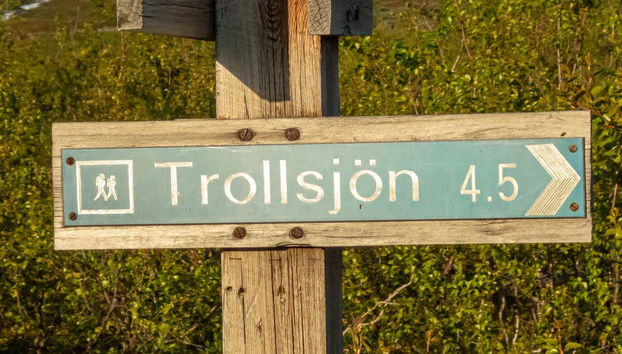 Trekking por el lago Rissajaure - Foto 5