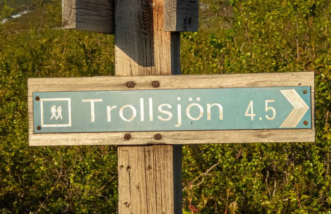 Trollsjön Guided Hike - Foto 5