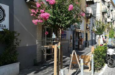 "Dint e viche e Napule" Guest House - Foto 35