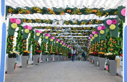 Alojamento Campo Maior - Foto 6