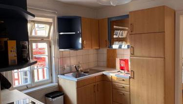 Voll ausgestattetes Apartment direkt in der City - Foto 2, stove