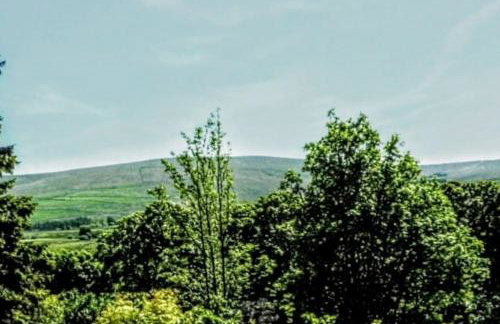 Butterfly Lodge quirky rural home stunning views - Photo 27