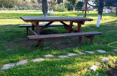 Sofia's Garden - Photo 6