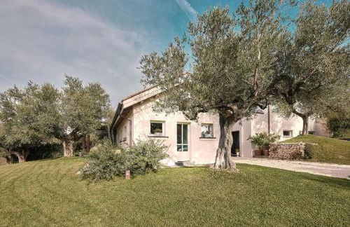 Villa With Olive Grove In Abruzzo - Foto 27