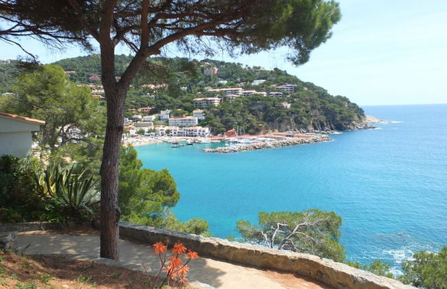 Ancora 01 in Llafranc - Foto 15