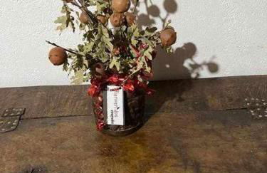 Casa Tía Modesta es una cálida y acogedora casa - Photo 2