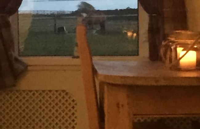 Sea View Cottage Lake District Coast, Haverigg - Foto 44