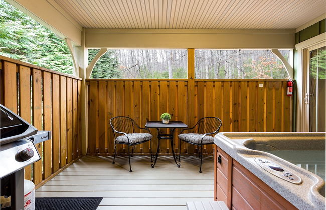 Asheville Cottages - Foto 58