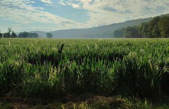 Ferienwohnungen AugenBlick 2 Naumburg - Foto 15