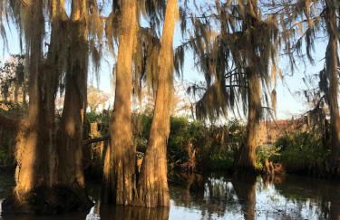Cypress ChaletCaddo Lake Cabin with Kayaks - Foto 19