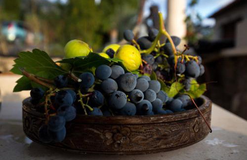 Holiday Home Lazuština Paradise & The Mermaid - Foto 17