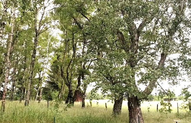 Delightful Apartment in Goslar With Garden and Terrace - Foto 32