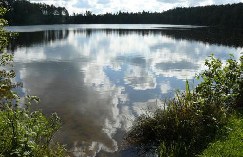 Tomaszówka - Domek na Kaszubach - Foto 39