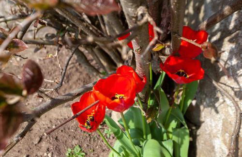 East Ayrlow Banks - Photo 12