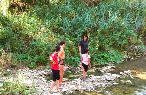 L'Olivier Fleurie Barjols - Foto 10