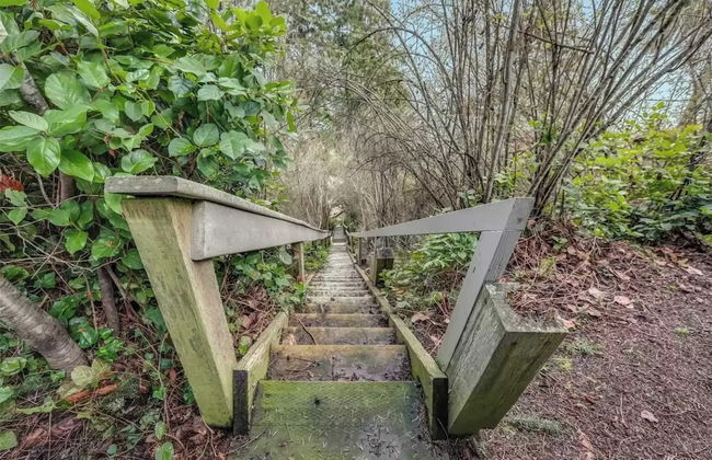 Serenity Pines by Avantstay Incredible Views - Foto 29