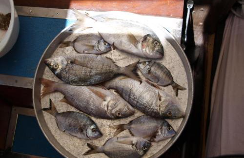 Apartment Luna - Foto 31