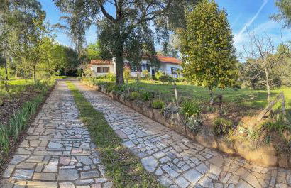 Quinta Do Pereiro - Foto 2