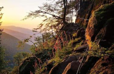 RELAX CHALET Nature Retreat - isolé sur 3 hectares - confort de LUXE - maison entière 150m2 - près de La Bresse - Foto 54