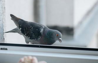 Cozinest Eco Apartment Plant Based Breakfast Included - Foto 87