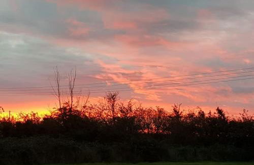 Amazingly quiet and peaceful studio getaway. - Foto 22