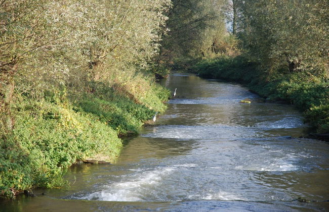 Apartment in Posterholt Near Meinweg Park - Photo 37