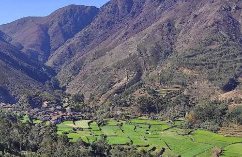 Casa do Avô Zé - Foto 8