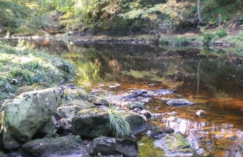 Mallard Cottage - Foto 8