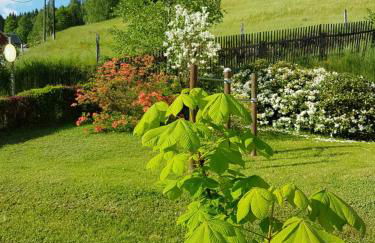 Ferienwohnung Wegespinne - Foto 20